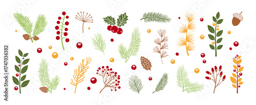 Christmas berry, mistletoe sprig, branch leaves. Winter or autumn tree, holly berry, spruce, twig hand drawn isolated on white background. Red, green, brown, yellow colors. Xmas vector illustration