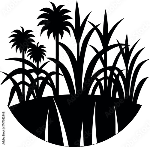 Silhouette of a palm tree on a tropical beach at sunset