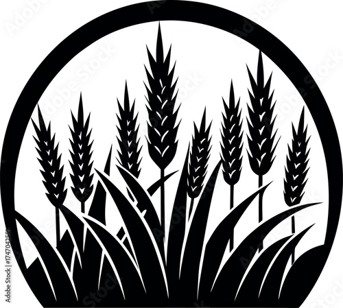 wheat ears vector illustration on black background
