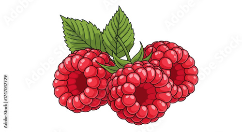 Three Fresh Red Raspberries with Green Leaves.