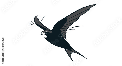 Black Swift in Flight: A Detailed Illustration of a Bird Soaring Through the Air.