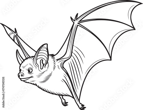 Black and white illustration of a bat in flight with wings spread wide animal mammal