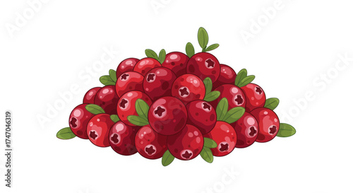 Pile of Fresh Ripe Cranberries with Green Leaves Isolated.