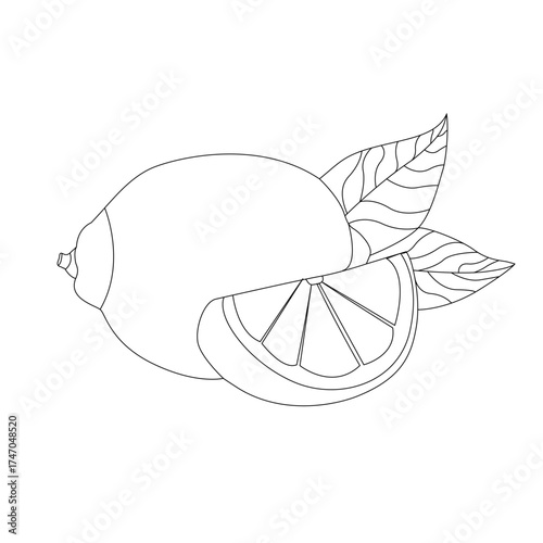 Lemon Line Drawing with Slice and Leaves Isolated on White Background