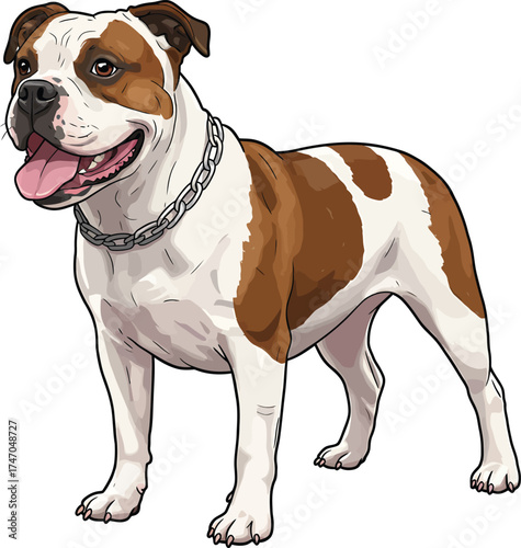 American Bulldog dog Portraits Set Illustrations Brown and White Vector 