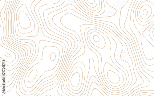 Abstract topography background. Topographic contour map subtle. Wavy paper curved reliefs White background. Geographic mountain relief curve lines background. Vector illustration.	