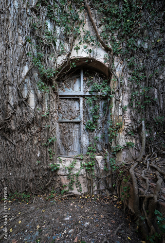 Ventana de edificio abandonado cubierta de vegetación