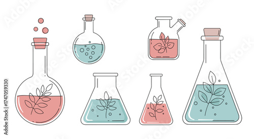 Various laboratory flasks filled with colorful liquids and plants.
