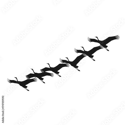 Silhouetted birds flying in formation against a white background.