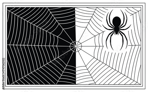 Split image of a spiderweb, one half black with white lines, the other half white with black lines, and a spider