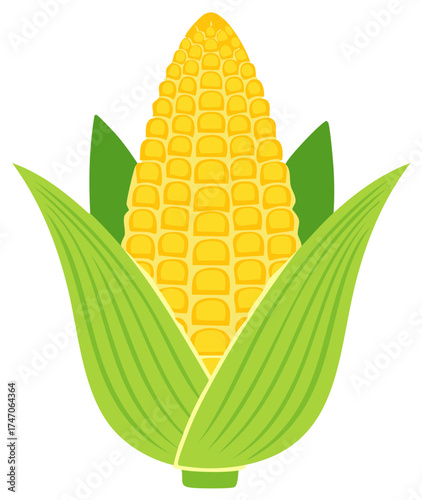 Single ear of yellow corn with green leaves illustration