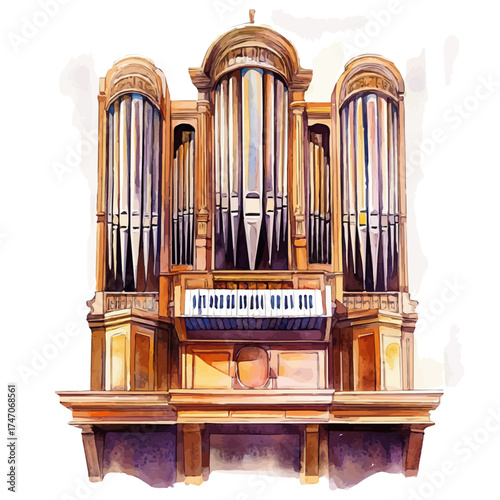 Organ, watercolor painting vector, isolated on a white background.