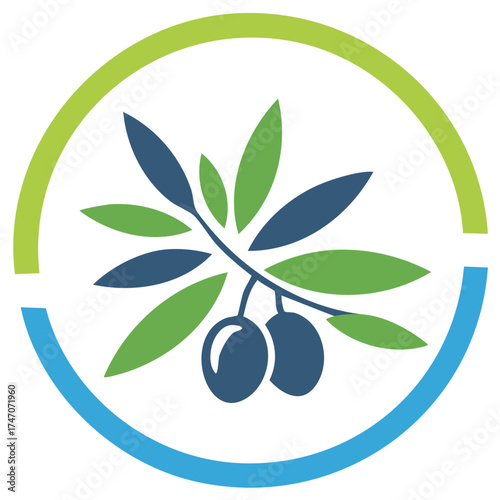 Modern vector illustration of an olive branch with ripe fruit and leaves enclosed by a half green half blue circle