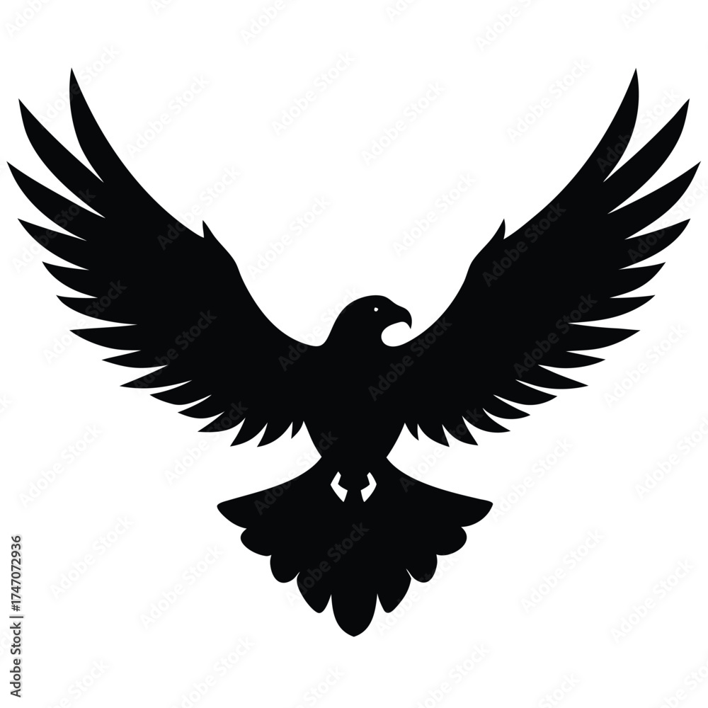 Obraz premium Black eagle soaring wings spread wide bird flying