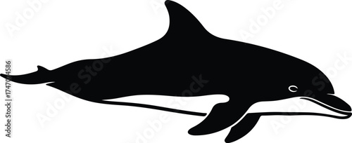Vector silhouette bottlenose dolphin swimming graceful aquatic animal illustration