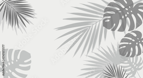 Elegant tropical leaf pattern background with modern gray tones for a chic, calming design project, perfect for stylish branding