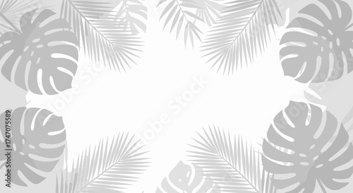 Elegant tropical background with monstera and palm leaves for modern designs or stylish summer promotions and creative projects