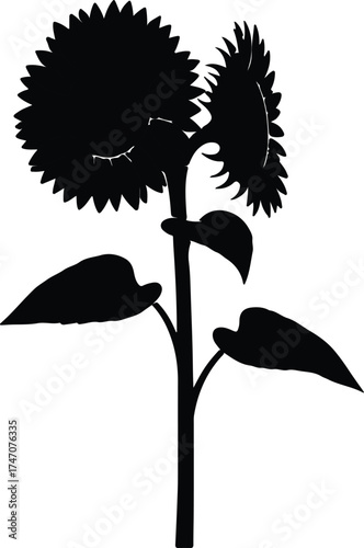 Vector silhouette of two sunflowers with leaves illustration
