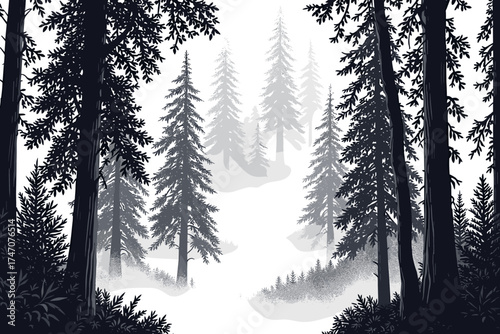 Peaceful walk through a misty forest with tall pine trees, perfect for nature lovers and outdoor adventure seekers now