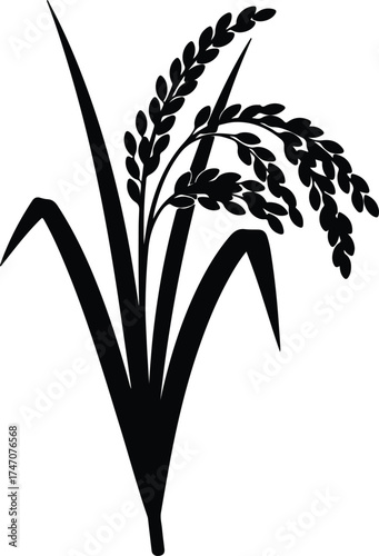 Vector silhouette rice plant with grains and leaves illustration