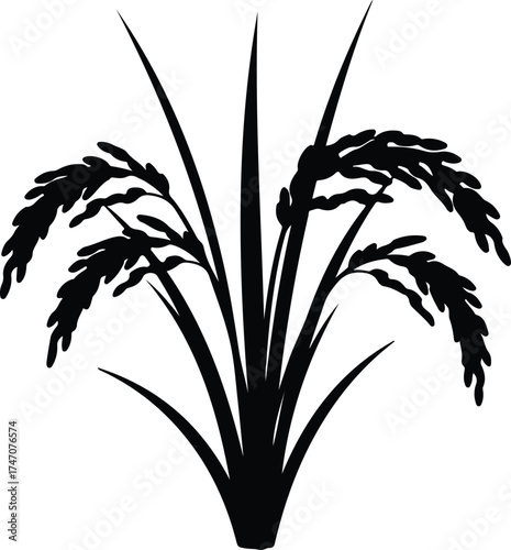 Vector silhouette rice plant isolated food agriculture growth illustration