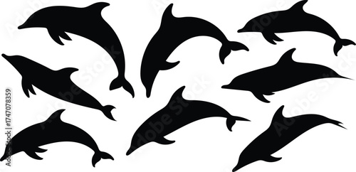 Group of Dolphins Silhouettes Swimming Together in Ocean Water Graphic