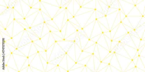 Technology dots lines connect network background. Networking concept, internet connection and global communication. Polygonal Mesh Background Vector design digital technology concept Global network co