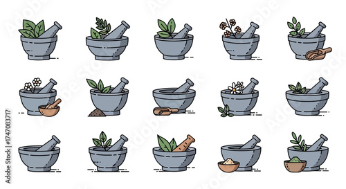 Mortar and Pestle Collection - Herbal Medicine Preparation.
