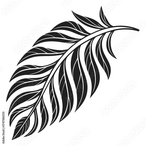 Black silhouette of a palm frond on white background