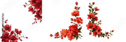 Set of Blank stationery sheet decorated with vibrant red flowers on top and bottom edges on transparent png background. Ai generated
