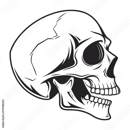Black silhouette human skull vector graphic hollow eyes