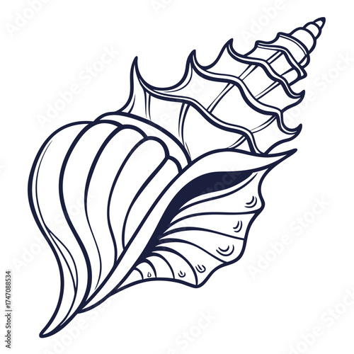 Dark blue line art seashell on white background conch