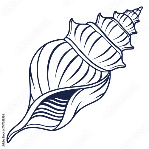 Dark blue line art seashell on white background conch 1