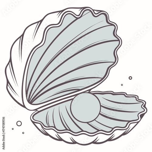 Open seashell with pearl and bubbles open shell oyster