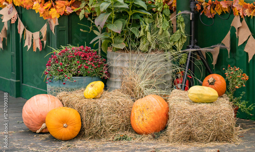 autumn still life with pumpkins