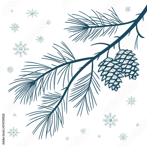 Pine branch with pinecones and snowflakes vector winter