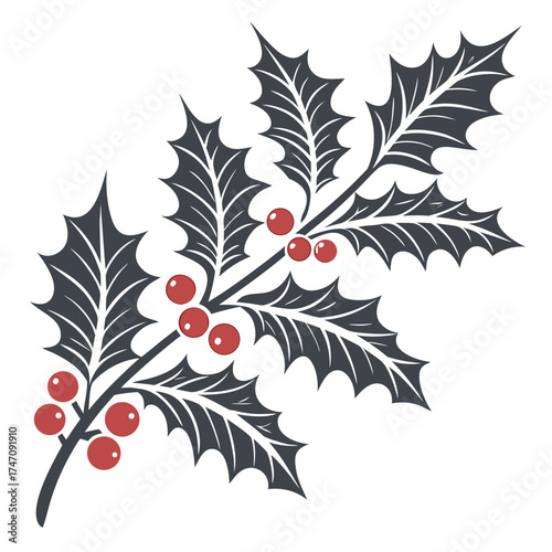 Dark grey holly branch with red berries vector leaf