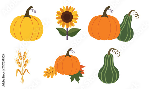 Flat minimalist autumn harvest icon set with pumpkins, sunflower, wheat, gourd and maple leaves in seasonal fall design layout