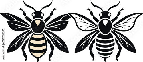 Two stylized black and yellow striped wasps or bees with detailed wings and antennae isolated on white background