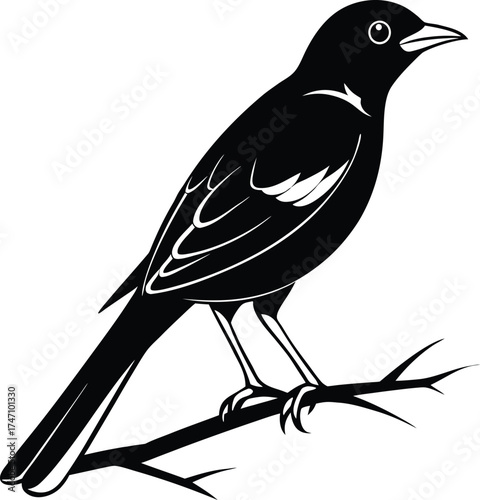 Unique Myna Bird Silhouette Vector Icon, Minimalist Perched Symbol for Asian Wildlife Logos and Website Design.