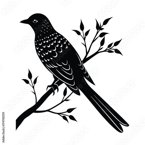 Minimalist Cuckoo Silhouette Vector Icon, Perched Bird Line Art on Branch for Nature App Logos, Wildlife UI/UX Graphics, and Website Design on White Background.
