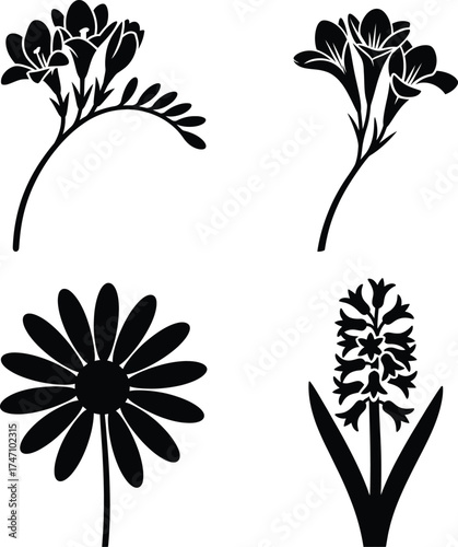 Silhouettes of four distinct flowers freesia daisy hyacinth floral botanical designs