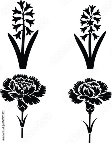 Elegant silhouettes of hyacinths and carnations floral graphics for design projects
