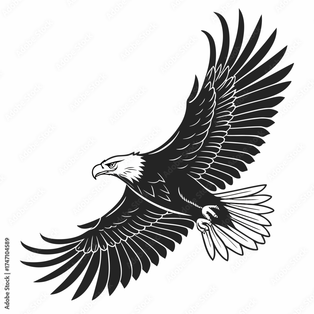 Obraz premium Black eagle with spread wings in flight bird flying 1