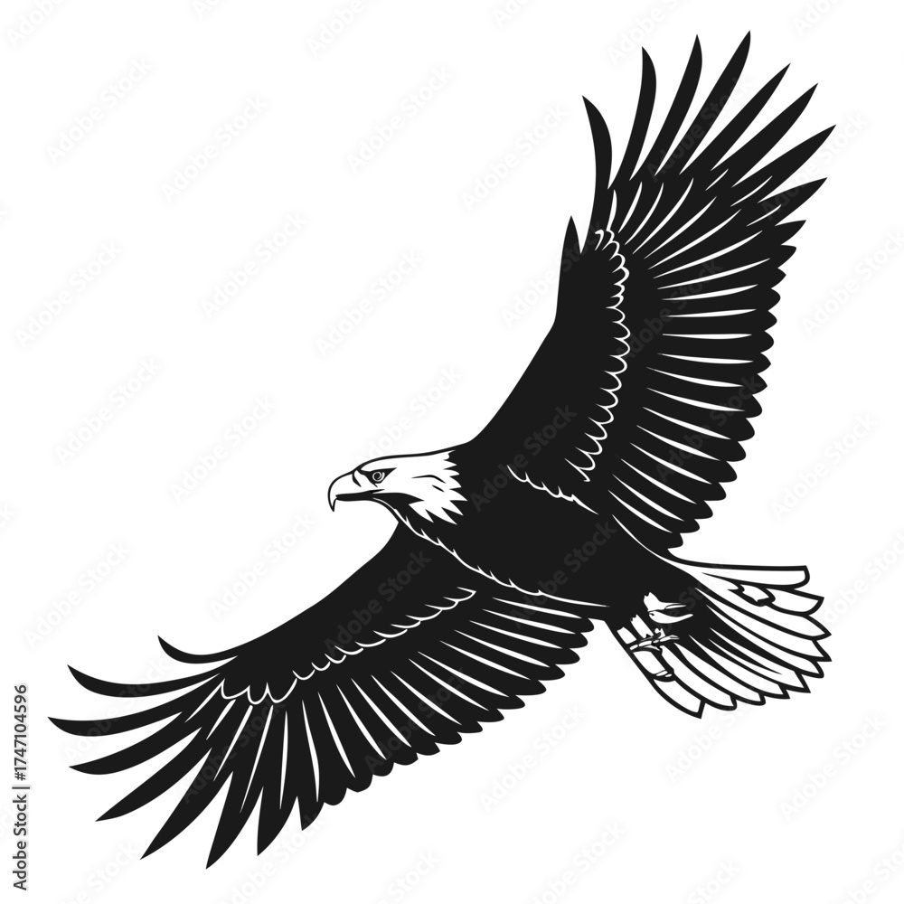 Obraz premium Black eagle in flight spread wings white background
