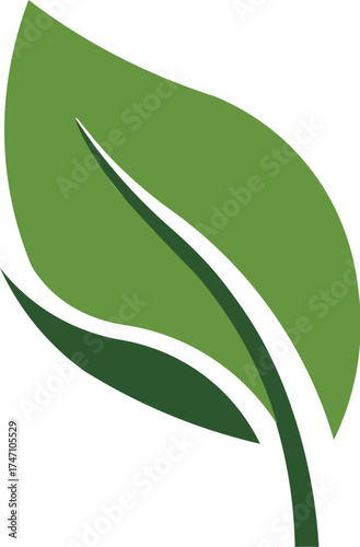 A minimalist composition of a verdant green leaf, purity, and the rejuvenating power of nature.