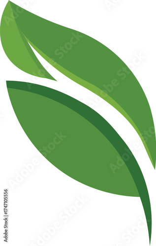 A minimalist illustration captures the elegance and simplicity of nature, showcasing the graceful form of a verdant leaf in a modern, graphic style.