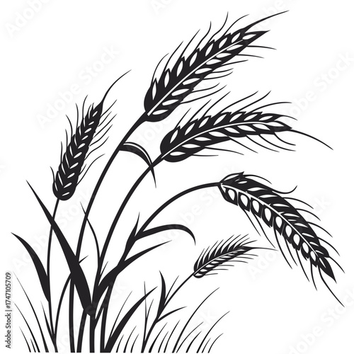 Black wheat stalks graphic on white background grain