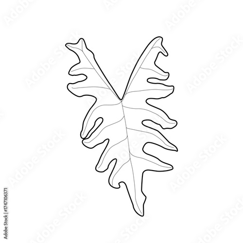Black outline leaf of alocasia tandurusa. Isolated black line exotic leaf of alocasia jacklyn on white background