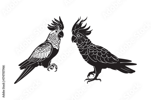 Two stylized cockatoos facing each other in black and white illustration